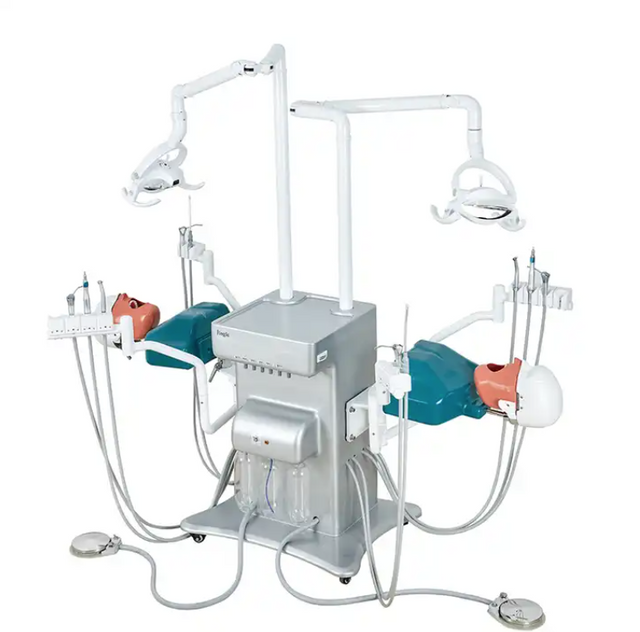 Movable Dental Study System Unit Artificial Dental Simulator Phantom Head