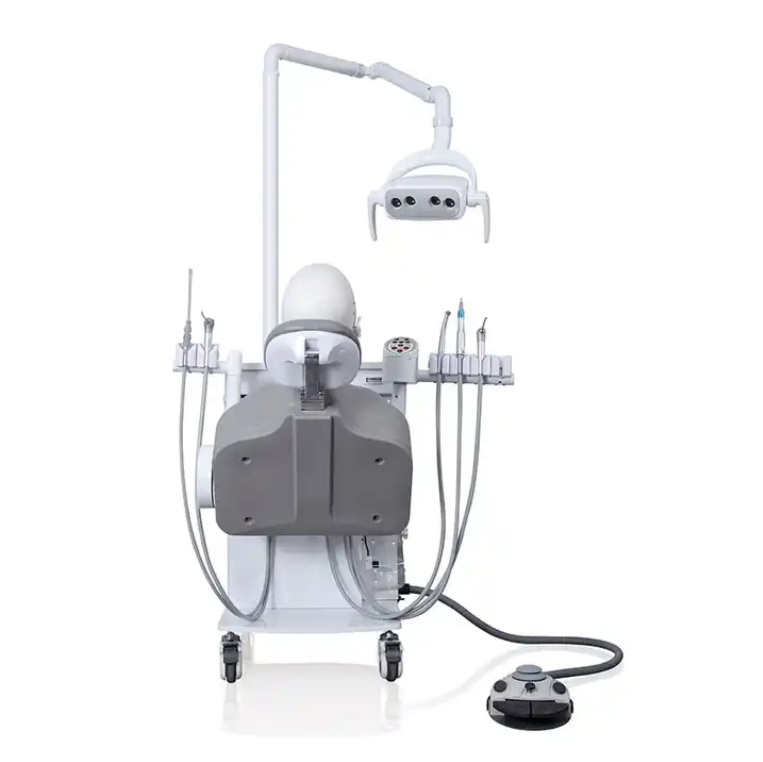 Dental Education Equipment Training Unit Dental Phantom Head Model Simulator