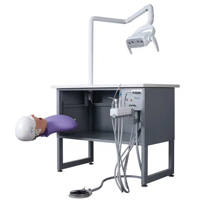 Dentistry Teaching Simulation Supply Dental Manikin Phantom Head Model