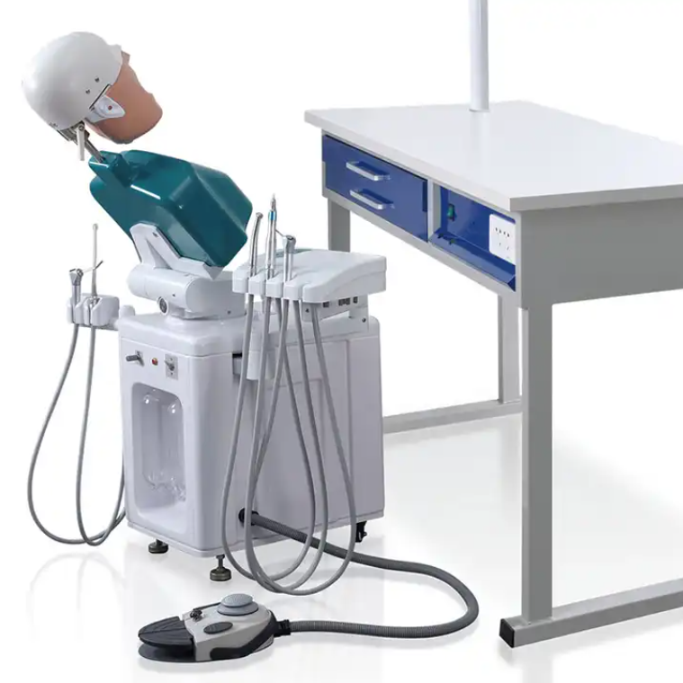 Dental Education Supply Pre-clinical System Dental Manikin Phantom Head