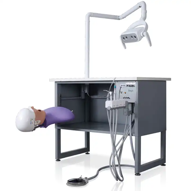 Dentistry Teaching Simulation Supply Dental Manikin Phantom Head Model