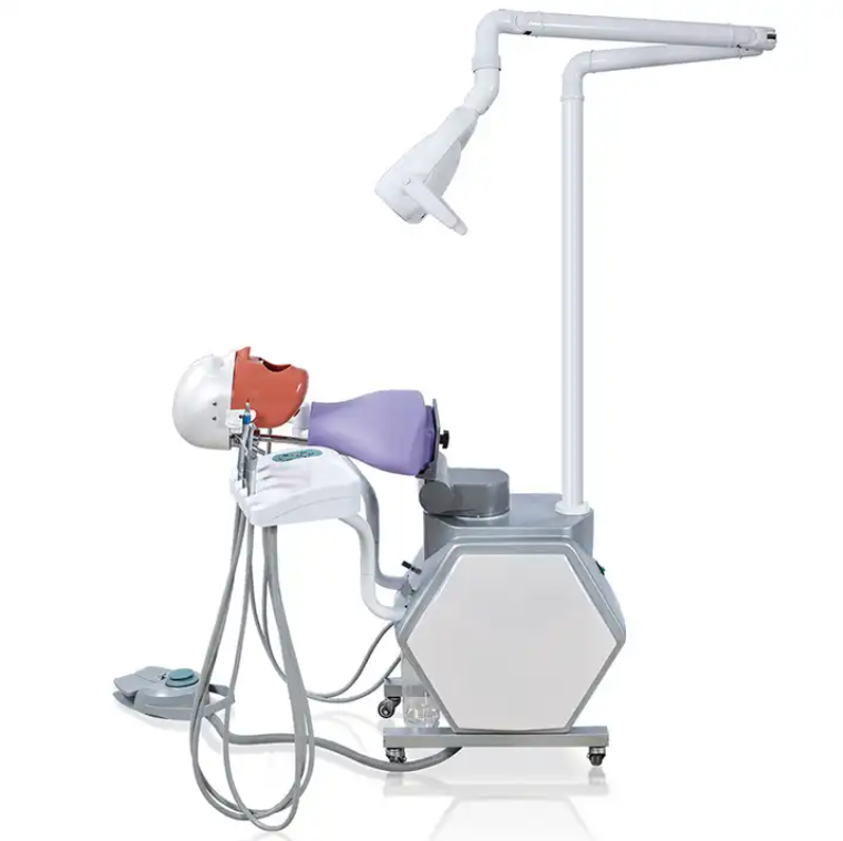 Pre-clinical Teaching Study Unit Model Dental Phantom Head Simulator