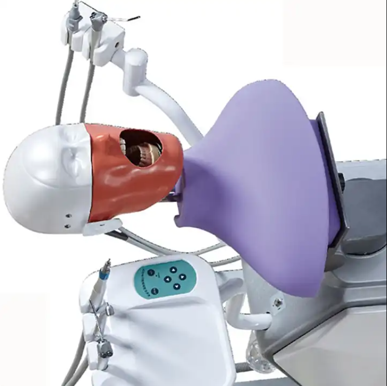 Pre-clinical Teaching Study Unit Model Dental Phantom Head Simulator