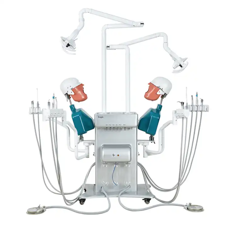 Movable Dental Study System Unit Artificial Dental Simulator Phantom Head