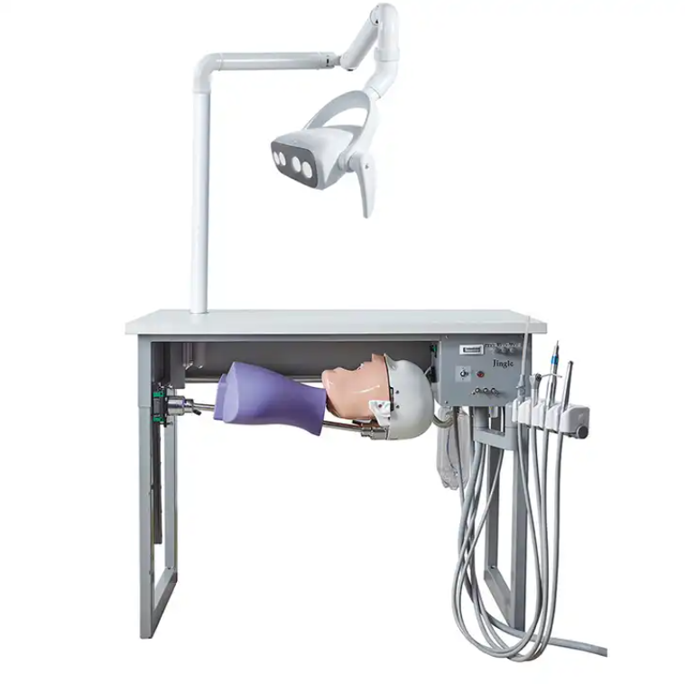 Dentistry Teaching Simulation Supply Dental Manikin Phantom Head Model