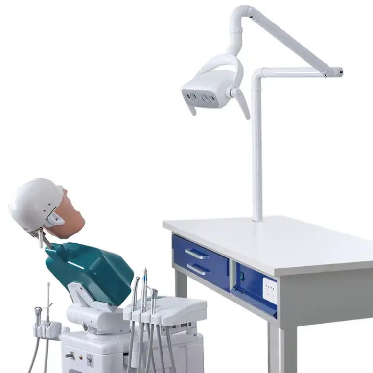 Dental Education Supply Pre-clinical System Dental Manikin Phantom Head