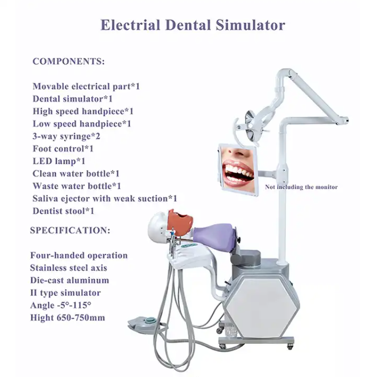 Pre-clinical Teaching Study Unit Model Dental Phantom Head Simulator