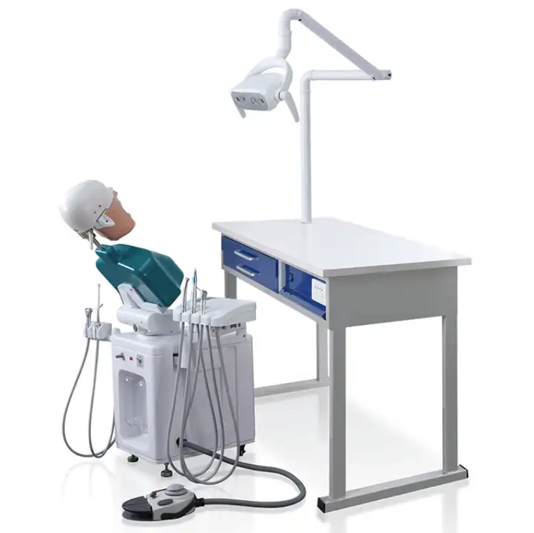 Dental Education Supply Pre-clinical System Dental Manikin Phantom Head