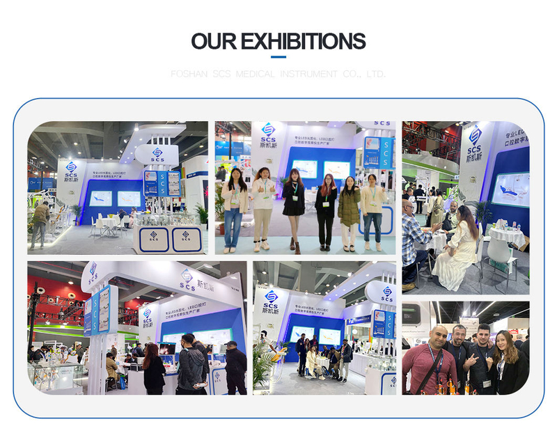 Dental Chairs Unit Price 6-LED Dual Color Shadowless Lamp Electric Dental Chair