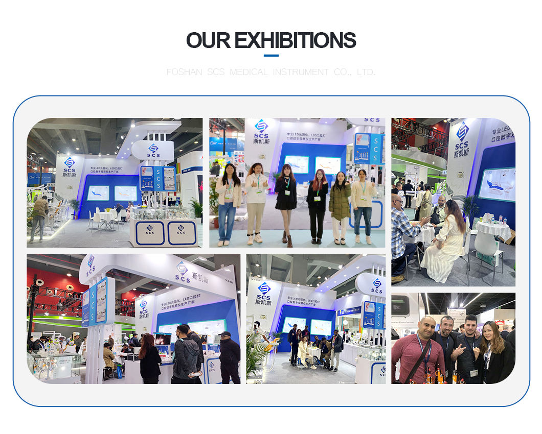 Dental Chairs Unit Price 6-LED Dual Color Shadowless Lamp Electric Dental Chair