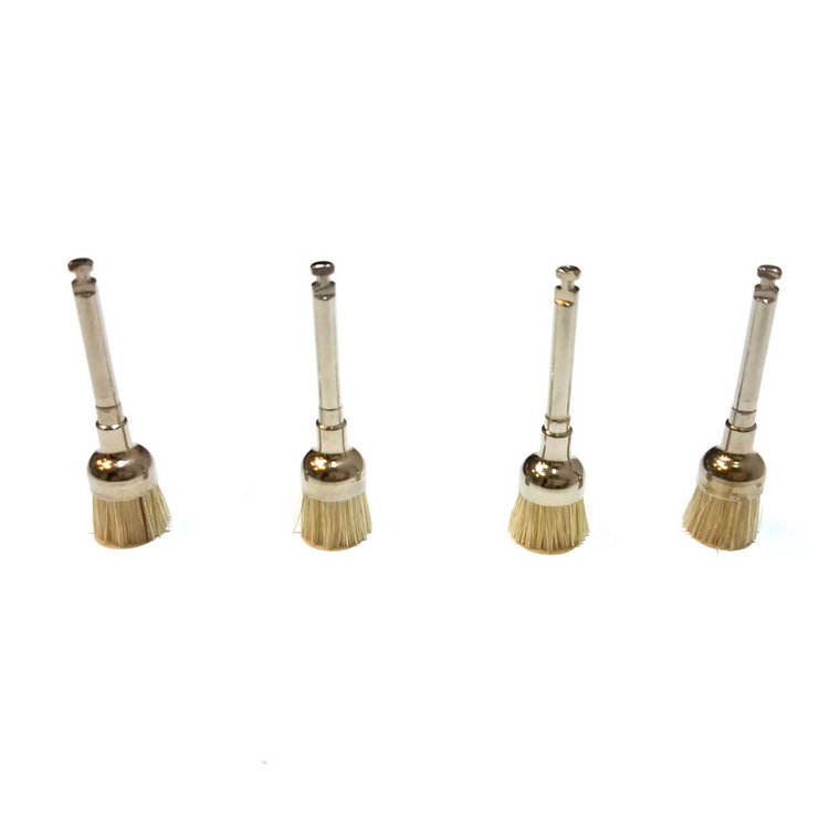 FOSHAN SCS Dental Disposable Brush Handpiece Use