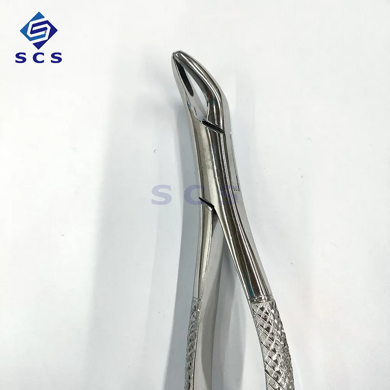 Dental Tooth Extraction Forceps - Custom Metal, Manual, Wholesale Factory Pricing