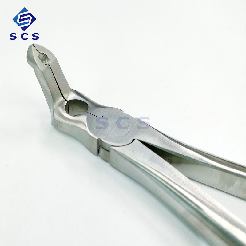 Dental Impacted Tooth Forceps: Professional Grade, Surprisingly Affordable