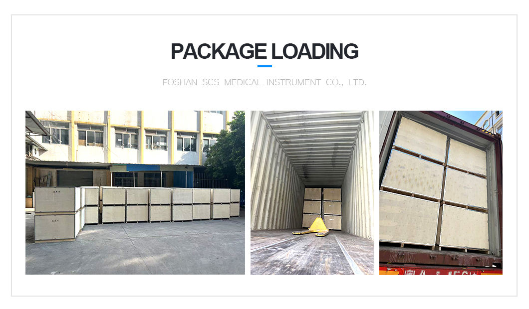 Dental Chairs Unit Price 6-LED Dual Color Shadowless Lamp Electric Dental Chair