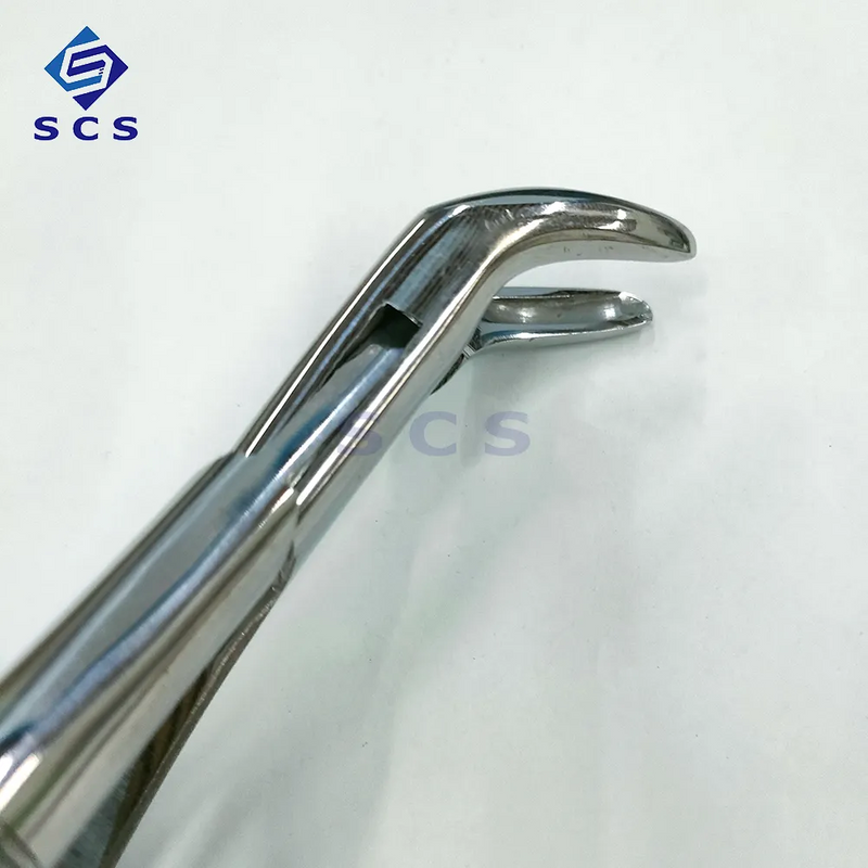 Dental Tooth Extraction Forceps - Custom Metal, Manual, Wholesale Factory Pricing