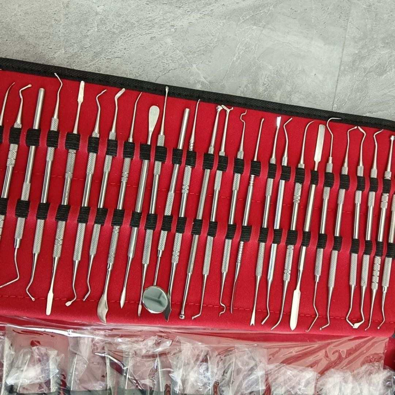 61 PCS Stainless Steel Instrument Kit Set Oral Dental Surgery Extracting Elevators Forceps 