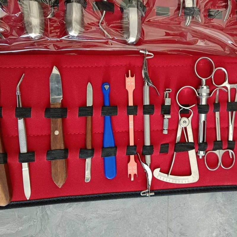 61 PCS Stainless Steel Instrument Kit Set Oral Dental Surgery Extracting Elevators Forceps 
