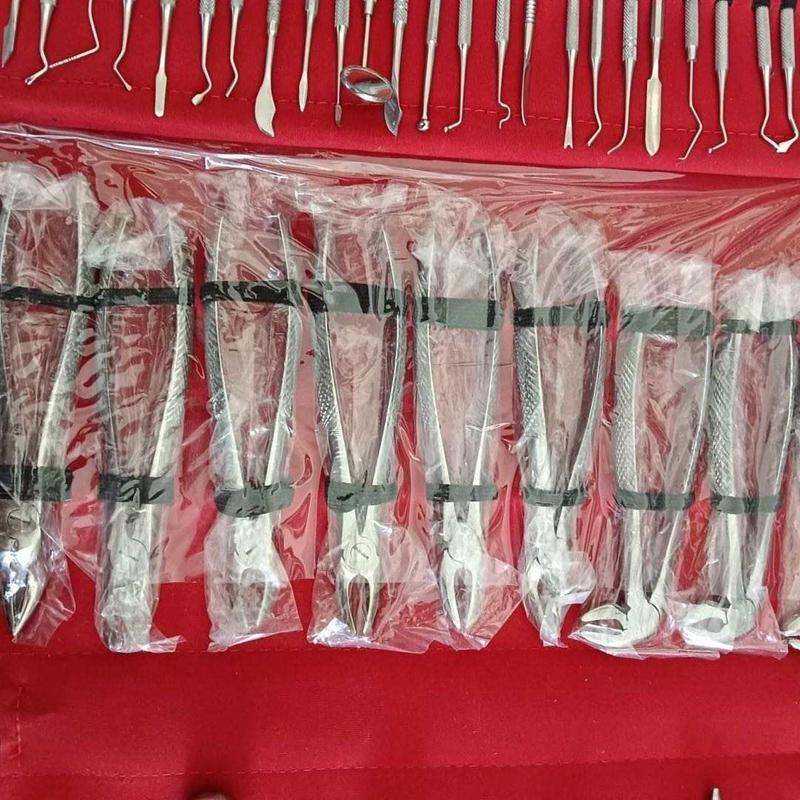 61 PCS Stainless Steel Instrument Kit Set Oral Dental Surgery Extracting Elevators Forceps 